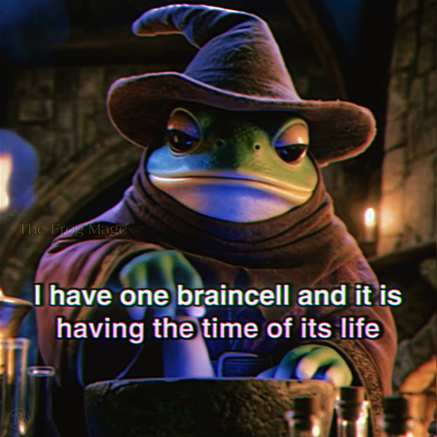 Frog in a wizard hat: I have one braincell and it is having the time of its life